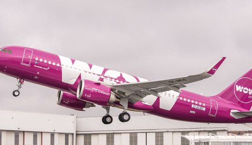 Join the Bears on Ice with Cheap Fares From WOW air!