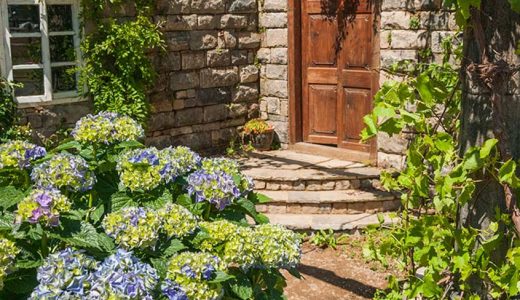 Experience the Mystery and Romance of Galicia’s ‘Pazo’ Gardens at RHS Hampton Court Palace Flower Show
