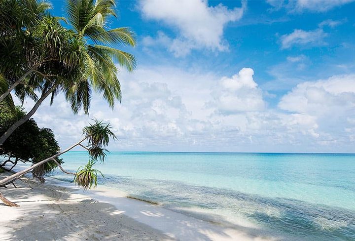 Maldives’ Fastest Growing Resort Brand Surpasses 100,000 Room Nights