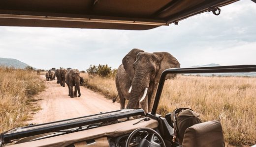 Top Ten African Safari Parks Revealed