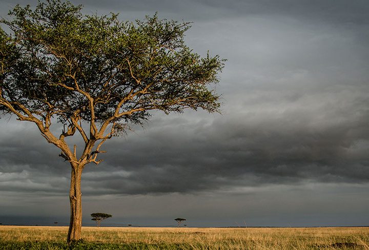 How to do a Long Weekend on an Africa Safari