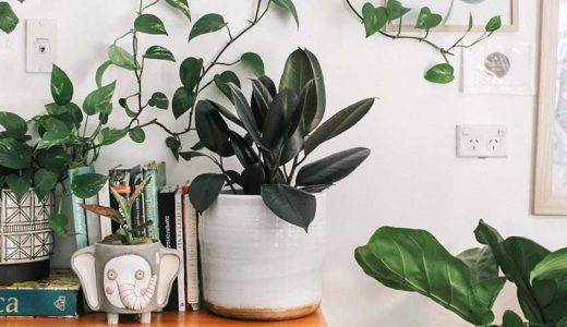 How to Bring Balance to Your Home This Spring: A Lagom Guide