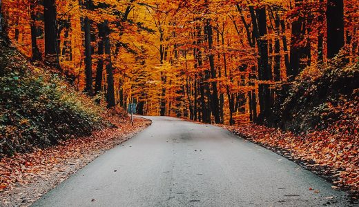 Hit the Road this Autumn and Escape into Nature