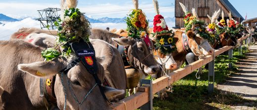 LAAX's Much-Loved Descent of The Cows Festival Returns the September RoosterPR
