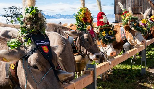 LAAX’s Much-Loved Descent of The Cows Festival Returns this September