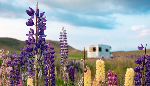 Celebrate the Spring Equinox with a UK Road Trip
