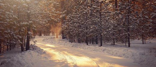 Contura A Scandi Guide to Banishing The Winter Blues RoosterPR