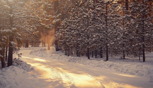 A Scandi Guide to Banishing The Winter Blues