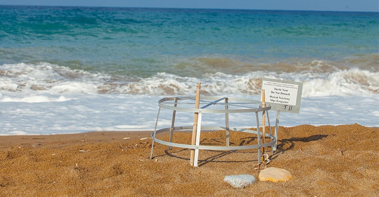 eco tourism cyprus