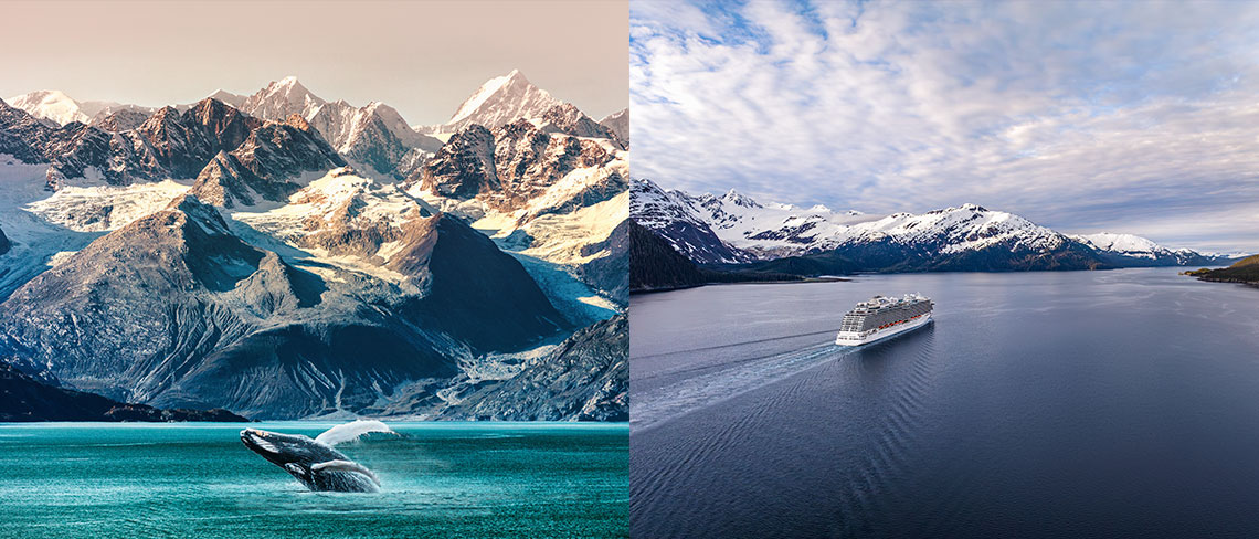 Cruise Nation Reports 83% increase in Alaska Holiday Bookings RoosterPR
